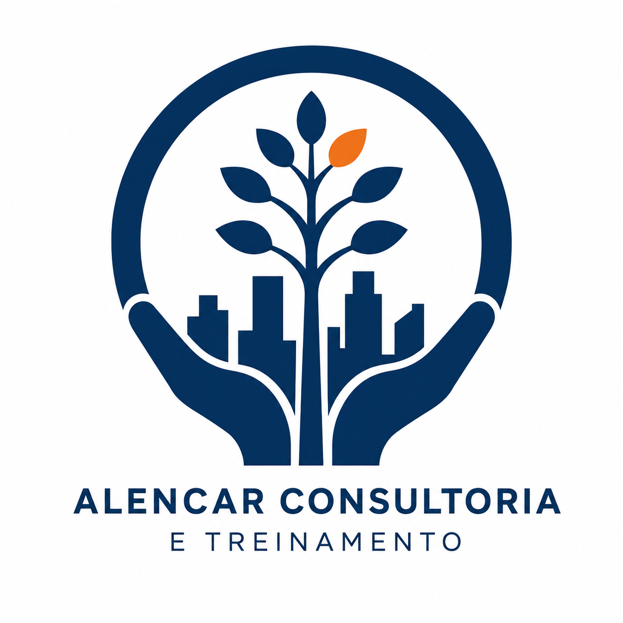 Alencar Consultoria